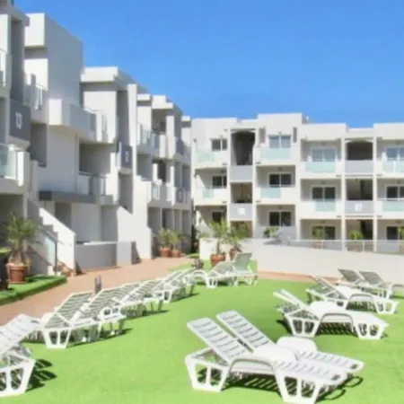 Blueberry Pie Corralejo
