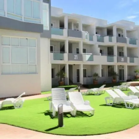 Blueberry Pie Corralejo